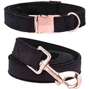 Airing Pet Black Collar and Leash Set